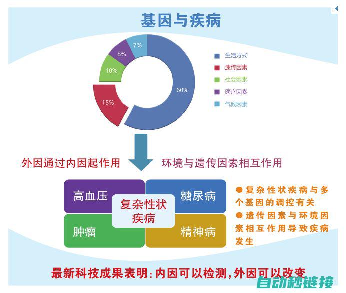 影响因素及危害分析 (影响因素及危害分析)